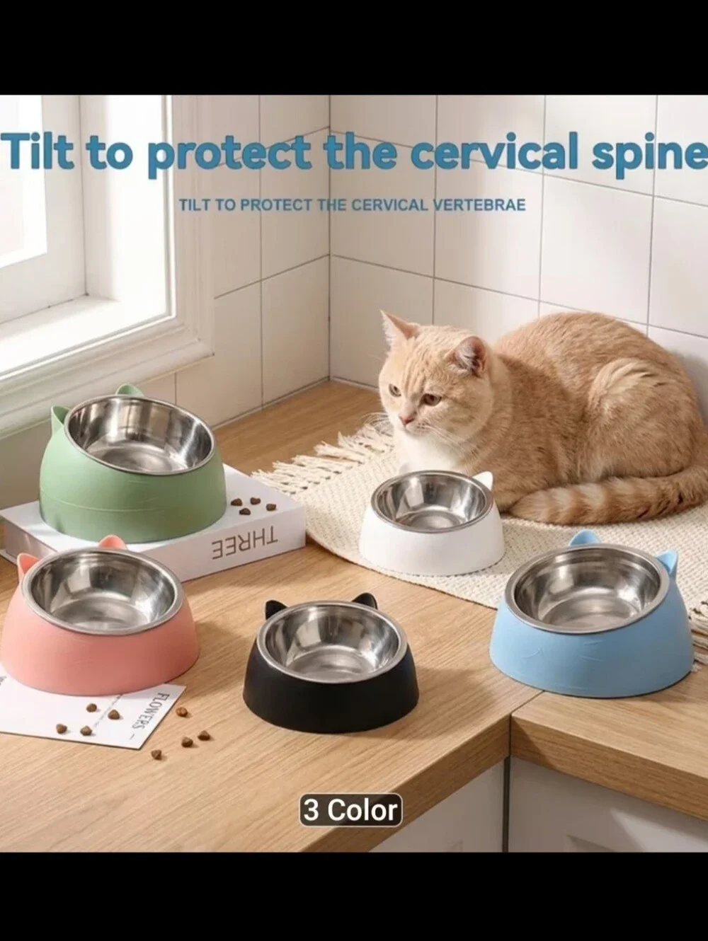 Cat Bowl-Stainless Steel with Non-Slip Navy Blue Stand